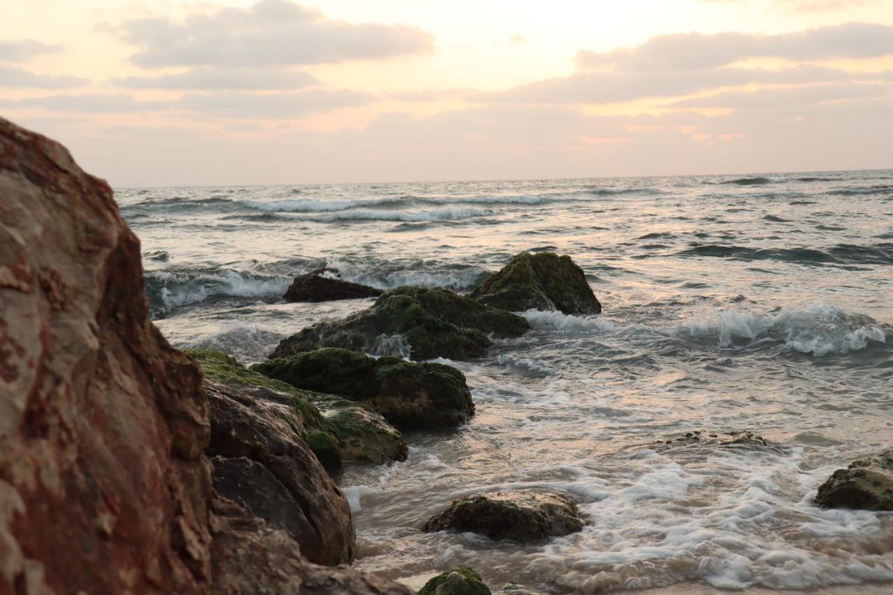 Zohara Boutiqe Suite Caesarea Kültér fotó